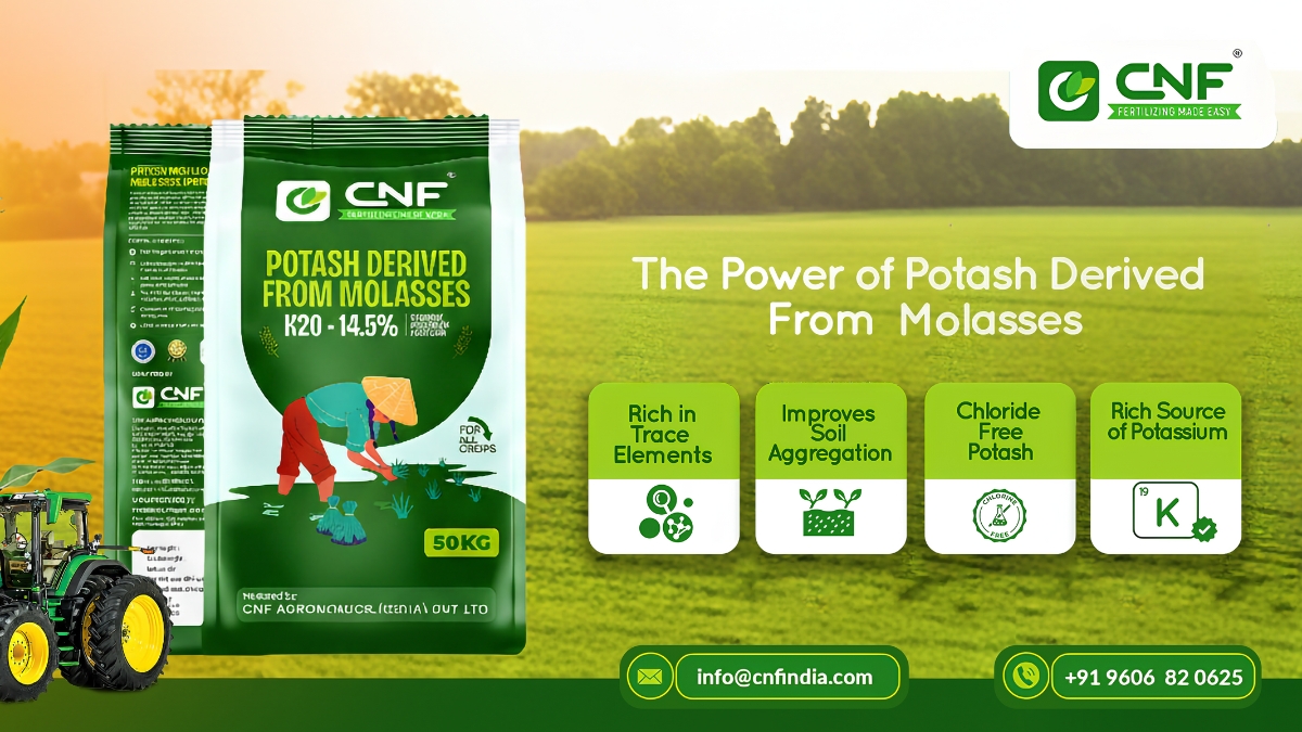 CNF Phosphates