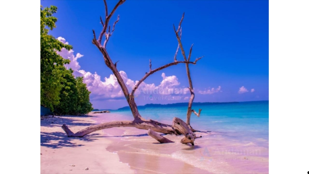 Andaman Travel Care Recognized for Customized Andaman Tour Packages and Honeymoon Travel Experiences