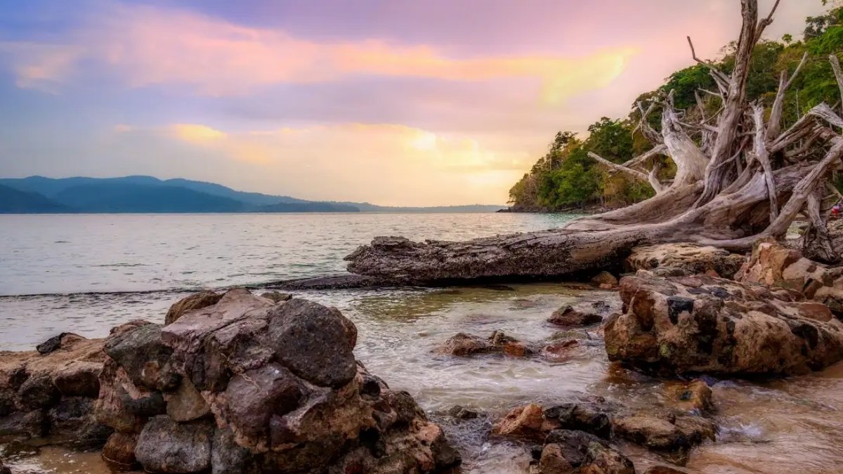 Andaman Packages from Vizag: Your Complete Island Getaway Guide